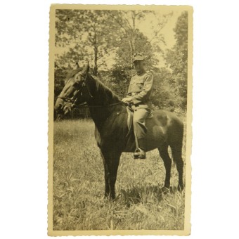 Портретное фото горного егеря Вермахта верхом на коне. Espenlaub militaria